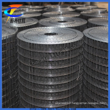 Hot Sales Black Iron Wire Welded Wire Mesh Factory